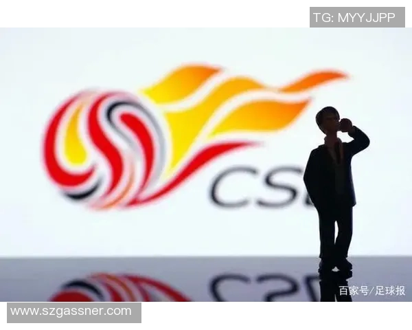 中国足球球星是否按规定缴纳税款引发广泛关注和讨论 中国足球球星是否按规定缴纳税款引发广泛关注和讨论