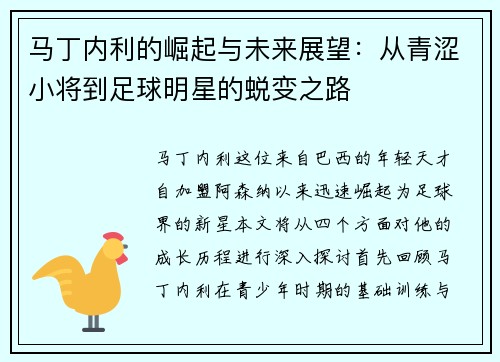 马丁内利的崛起与未来展望：从青涩小将到足球明星的蜕变之路