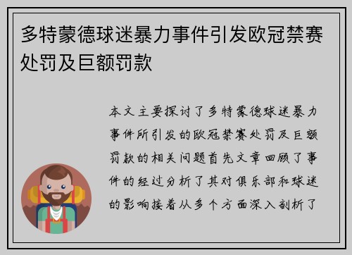 多特蒙德球迷暴力事件引发欧冠禁赛处罚及巨额罚款