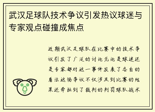 武汉足球队技术争议引发热议球迷与专家观点碰撞成焦点