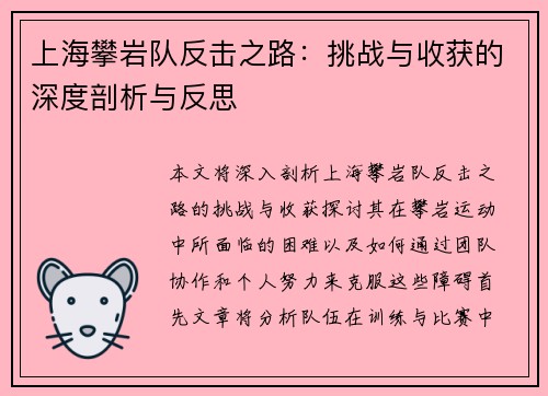 上海攀岩队反击之路：挑战与收获的深度剖析与反思