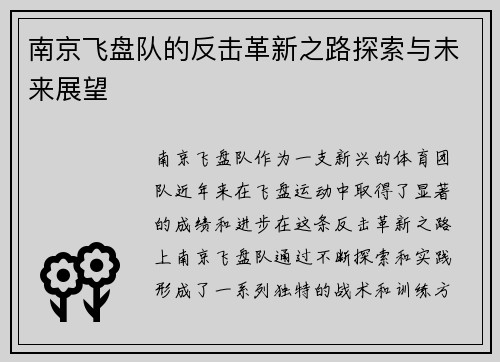 南京飞盘队的反击革新之路探索与未来展望