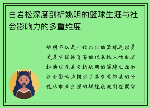 白岩松深度剖析姚明的篮球生涯与社会影响力的多重维度