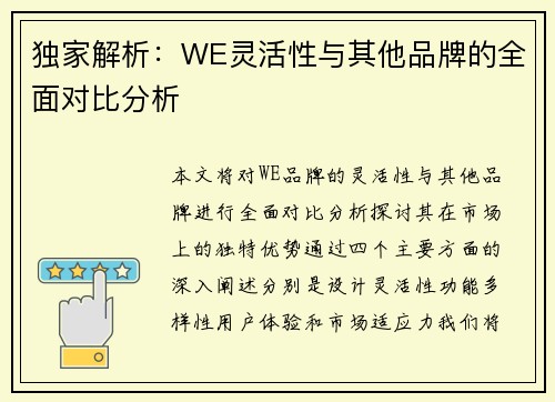 独家解析：WE灵活性与其他品牌的全面对比分析