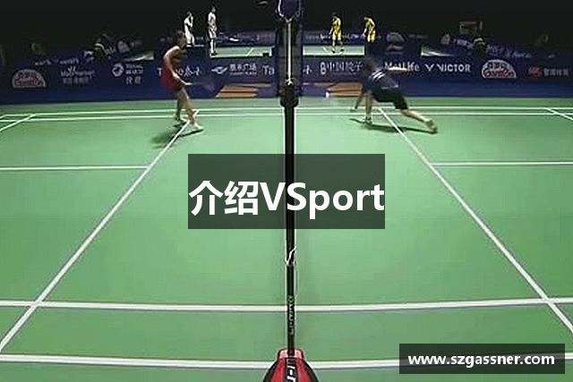 介绍VSport